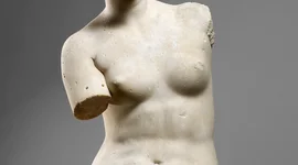 Timeline: Milose Veenus