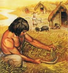 NEOLITICO. Agricultura