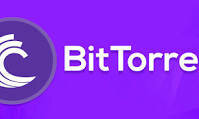 Bit Torrent