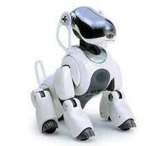 AIBO