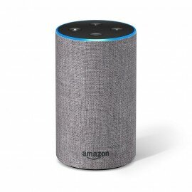 Voice assistant