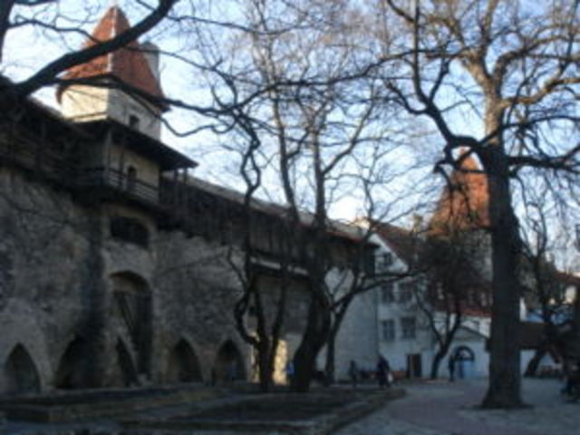 Сад датского короля