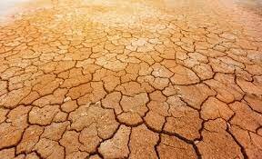 Sequía a Africa
