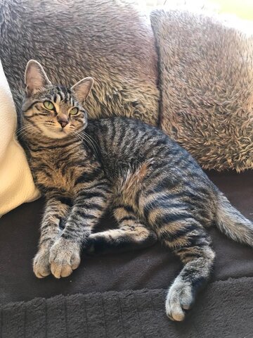 The first year of Mia