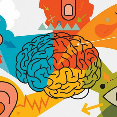 Timeline: Sensopercepción