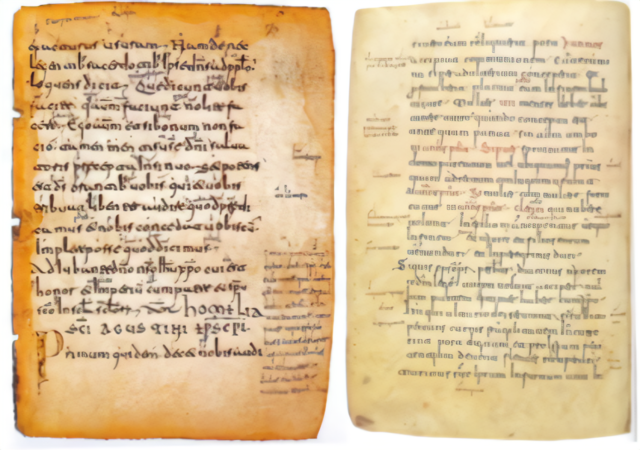 GLOSAS EMILIANENSES Y SILENSES.