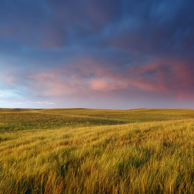 Timeline: Saskatchewan's Geological Past