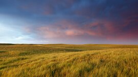 Timeline: Saskatchewan's Geological Past
