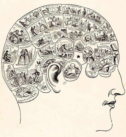 Asume como secretario del Index de la Sociedad de Neurología y Psiquiatría de Buenos aires.