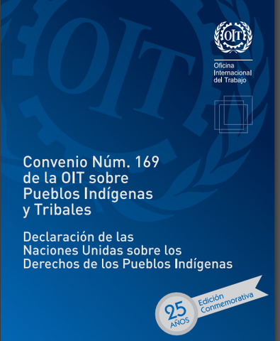 Reconocimiento y Visibilidad de los Grupos Etnicos Colombianos