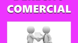 Timeline: Pasos para concretar una trasferencia de comercio, Ley n°11687