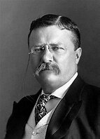 Theodore Roosevelt becomes President