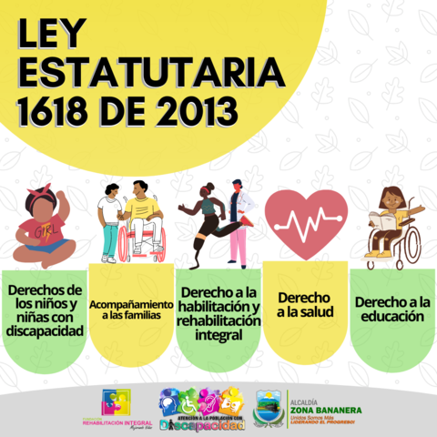 LEY ESTATUITARIA 1618 DE 2013