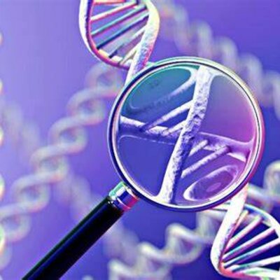 Timeline: inseminación artificial en animales