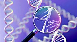 Timeline: inseminación artificial en animales