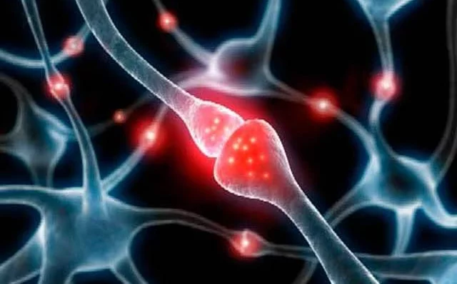 demonstración de neutrotransmision