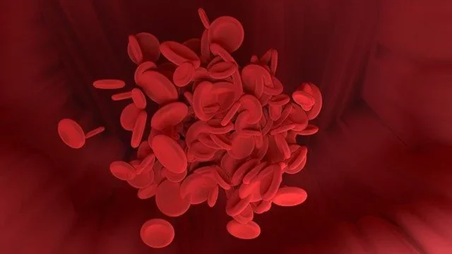 anemia perniciosa