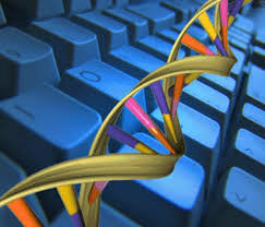 Secuencias de virus y procariotas aparecen en bases de datos Online.