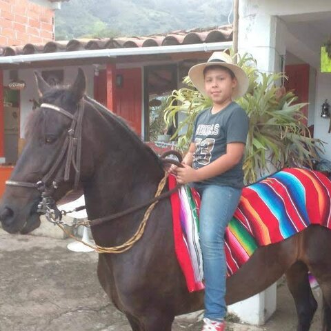 conociendo mis gustos