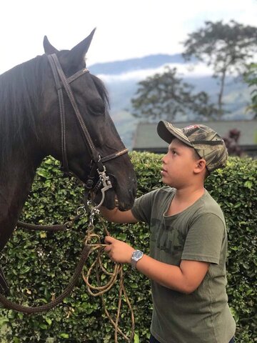 siguiendo lo que me gusta