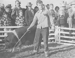 1926-The First National Congress of Vocational Agriculture Students assembles for a National Livestock Judging Contest.