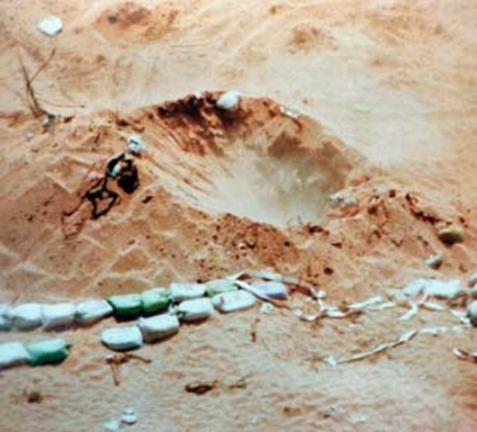 Pokhran-II (Operation Shakti)