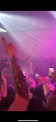 Nire abeslari gogokoenaren kontzertua