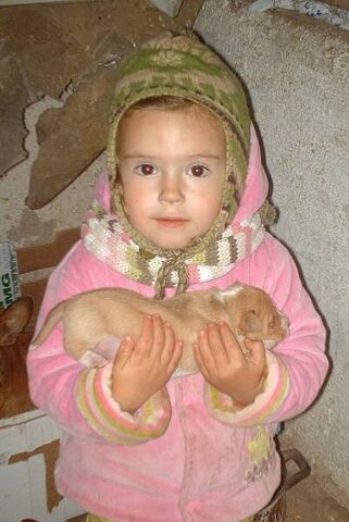 Nire txakurra oparitu zidanean