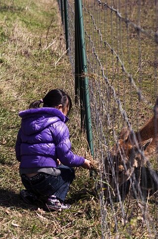 Salburuan lehen aldiz