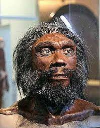 la aparición del hombre