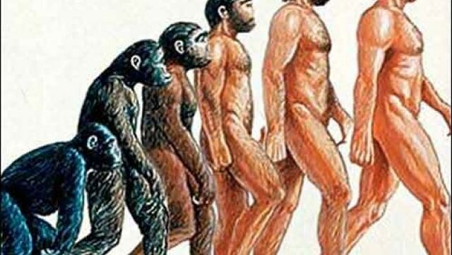 La aparició de l'home