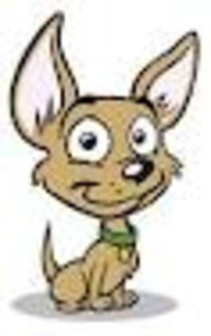 Obsessed with Net Krittez