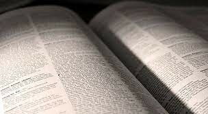 Nova Constitució (sufragi universal masculí)