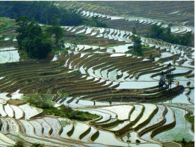 Zapotec Irrigation Innovation