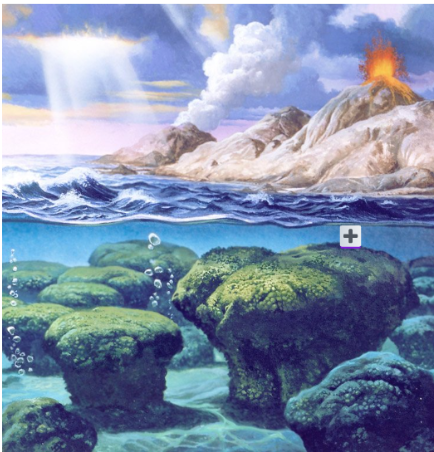 L’aparició de la vida: Primeres cèl·lules