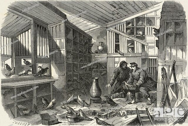 Birds in The Franco-Prussian War