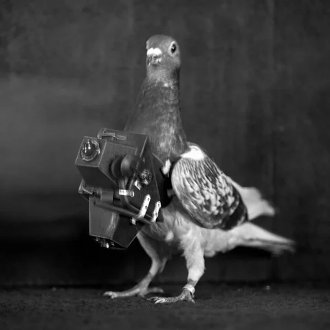 The First Google Maps