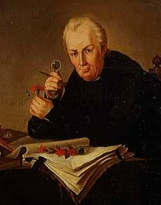 I__Literatura de la Ilustración__I