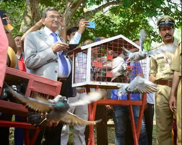 Birds in Modern Times