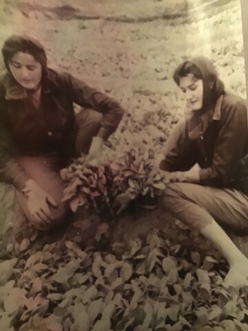 Además de la costura iba al campo a ayudar en la huerta de la familia