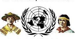 DECLARACIÓN DE LA NACIONES UNIDAS SOBRE LOS DERECHOS DE LOS PUEBLOS INDÍGENAS