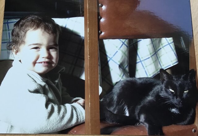 Katuen jaiotza ikusi nuenean