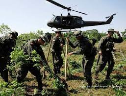 GRAN GOLPE AL NARCOTRAFICO