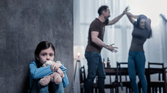 LEY 575 DE 2000 VIOLENCIA INTRAFAMILIAR