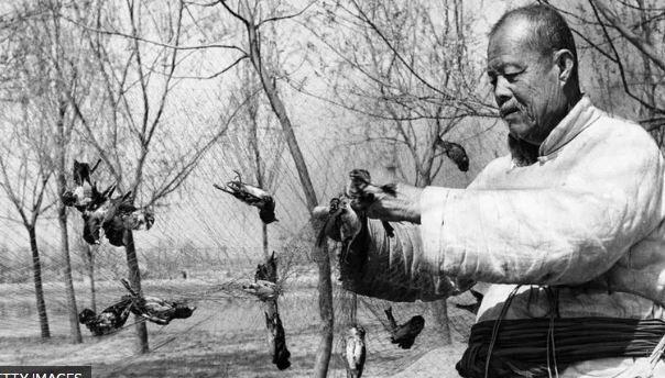 Catástrofe ambiental en China "Tres Años de Desastres Naturales"