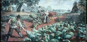 Tobacco production