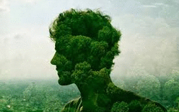 Literatura del naturalismo