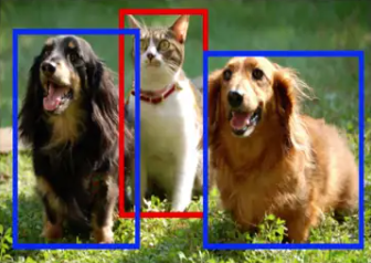 Evolução em IA - rede neural detecta imagens de gatos