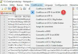 error de codificación en OpenSSL