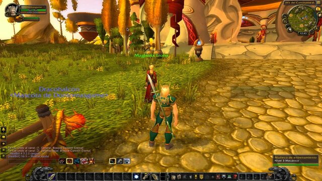 El juego en línea, World of Warcraft, alcanza un hito cuando sobrepasa los 9 millones de suscriptores en todo el mundo en julio.
